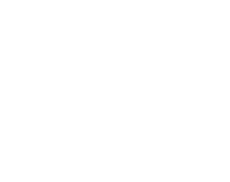 Logo_cebra_blanco